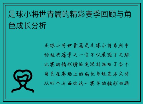 足球小将世青篇的精彩赛季回顾与角色成长分析